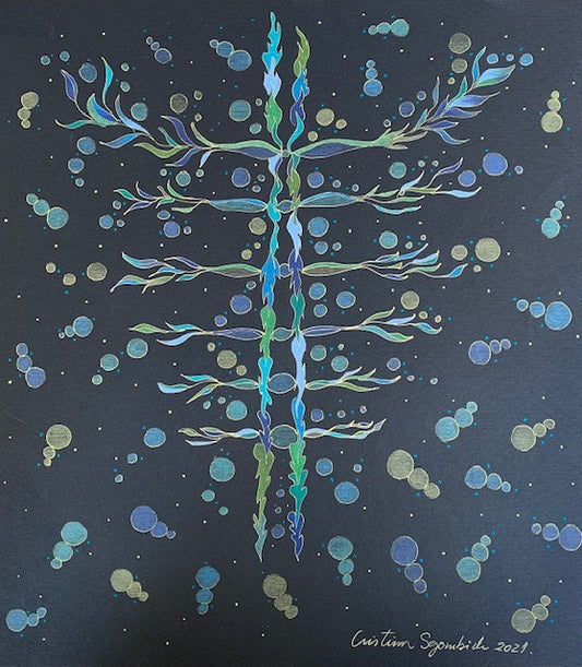 Kelp