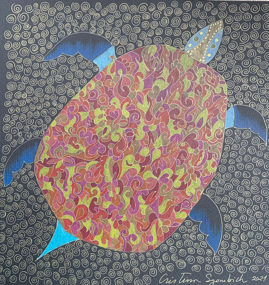 Tortuga estelar